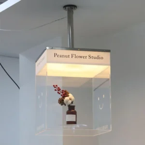 Suspended transparent acrylic flower display light box for Peanut Flower Studio